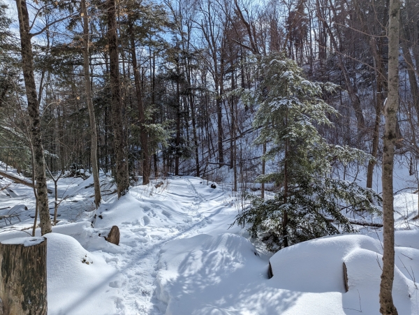 Bruce Trail Valley